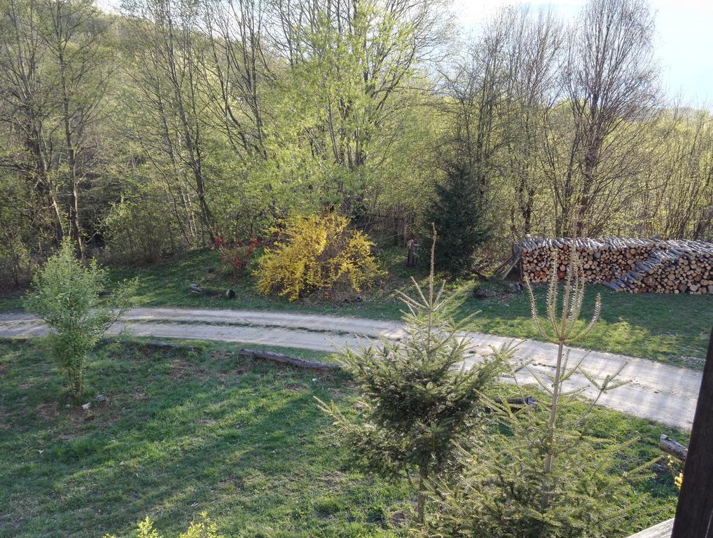 Cabana La Noi Hotel Rîşnov Exterior foto